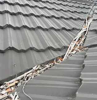 Clogged gutter